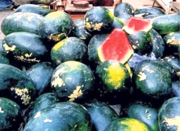 लालबुंद कलिंगडची आवक वाढली; भाव १५ ते २० टक्क्यांनी वधारले, रमजानमुळे कलिंगडच्या मागणीत वाढ