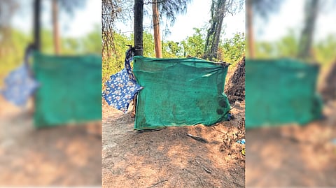 समुद्रकिनारी प्रसाधनगृहे उभारण्याची काँग्रेसची मागणी