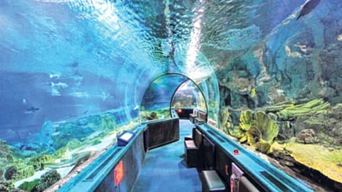 राणी बागेत आंतरराष्ट्रीय दर्जाचे मत्स्यालय