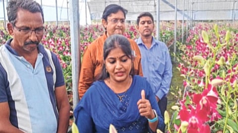 कर्जतमध्ये ऑर्किड फुलांच्या शेतीचा यशस्वी प्रयोग; शिक्षकी नोकरीचा राजीनामा देऊन महिला बनली प्रगतशील शेतकरी