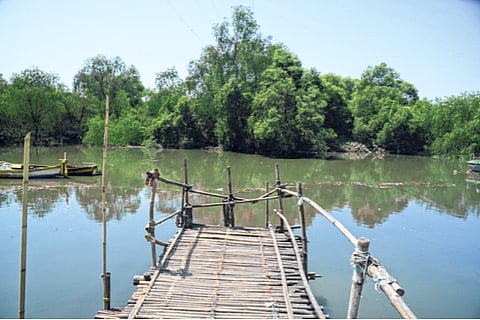 भांडुपमध्ये फ्लेमिंगो पार्क; पम्पिंग स्टेशन येथील पर्यटनस्थळाचा मार्ग मोकळा, केंद्र सरकारची मंजुरी