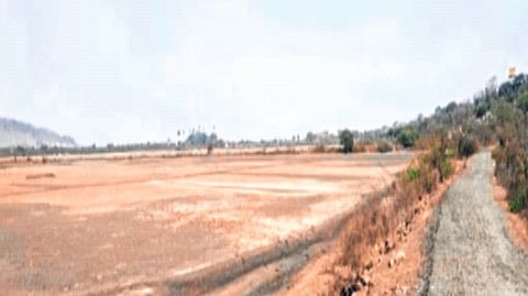 आचारसंहिता काळात निसर्ग नष्ट करण्याचा प्रयत्न