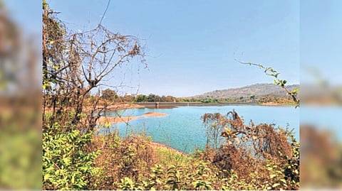 पालघरवर पाणी कपातीचे संकट; साखरे धरणातील पाणीसाठ्यात घट