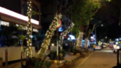 झाडांवरील विद्युत रोषणाईविरुद्ध हायकोर्टात याचिका; राज्य सरकारसह महापालिकांना प्रतिज्ञापत्राद्वारे भूमिका स्पष्ट करण्याचे निर्देश