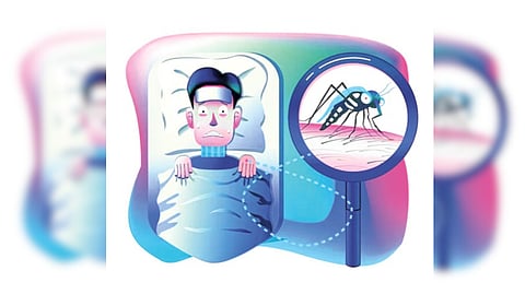 मुंबईत पावसाळी आजारांचे टेन्शन वाढणार? २५ हजार ठिकाणी डेंग्यू, अडीच हजार ठिकाणी मलेरियाच्या अळ्या आढळल्या