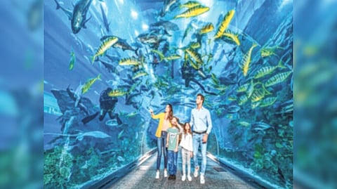 आचारसंहितेत अडकले राणीबागेतील मत्स्यालय; आंतरराष्ट्रीय दर्जाच्या मत्स्यालयाच्या निविदा प्रक्रियेस पाच कंपन्यांचा प्रतिसाद