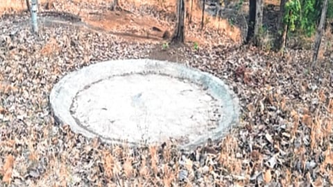 वनक्षेत्रातील पाणवठे कोरडे; वन्यप्राण्यांची मानवी
वस्तीकडे धाव
