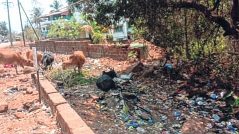 ग्रामपंचायतीच्या घनकचरा प्रकल्पाचे घोंगडे भिजतच! मतदार निवडणुकीत उमेदवारांना विचारणार जाब