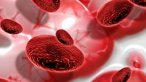 Difference Between Thalassemia & Anemia