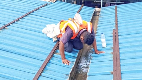 दादर स्थानकात मलेरिया, डेंग्यू घुसला; एडिस, ॲनोफिलीस डासांच्या अळ्या सापडल्या