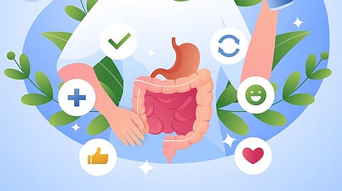 Gut Health: आतड्यांचे आरोग्य कसे राखायचे? जाणून घ्या तज्ज्ञांकडून