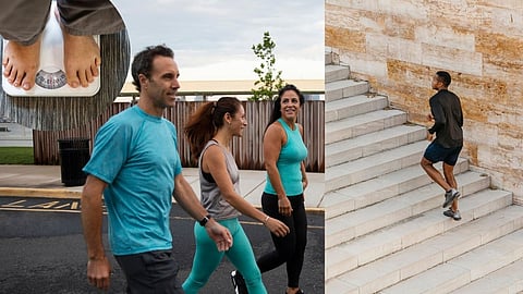 Health Tips: चालणे की पायऱ्या चढणे, वजन कमी करण्यासाठी तुमच्यासाठी कोणता व्यायाम चांगला आहे?