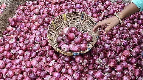 लासलगाव : कांदा दरातील घसरण सुरूच; शेतकरी चिंताग्रस्त