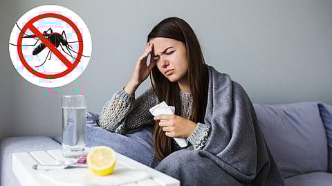 National Dengue Day 2024