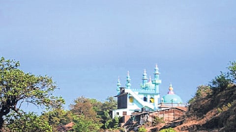 विशाळगडावर कुर्बानीला हायकोर्टाची परवानगी, चार दिवस चालणार उत्सव