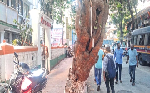 राज्यात काँग्रेसची भरारी; टिळक भवनात शुकशुकाट