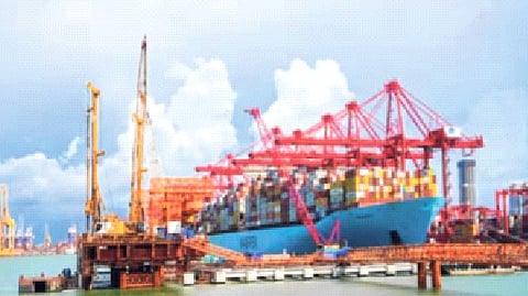 वाढवण बंदराला हिरवा कंदील; केंद्रीय मंत्रिमंडळाची मान्यता १४ पिकांच्या एमएसपीत वाढ