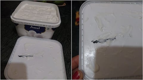 नोएडात अमूल आइस्क्रीममध्ये गोम