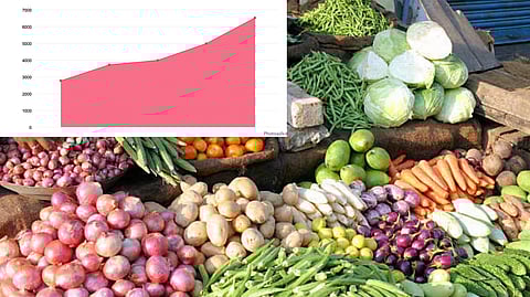भारताने मिळविले साडेसहा हजार कोटींचे विदेशी चलन; ५ लाख ३७ हजार मेट्रिक टन प्रक्रियायुक्त भाजीपाला निर्यात
