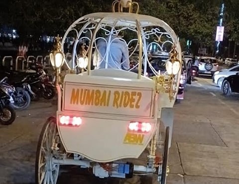 व्हिक्टोरिया गाड्यांमुळे पर्यटकांची सुरक्षा धोक्यात, अटी-शर्तींचे उल्लंघन केल्यास गाडी जप्त करा; माजी नगरसेवकाचे परिवहन आयुक्तांना पत्र