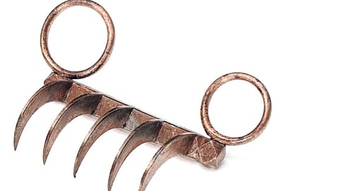 वाघनखे छत्रपती शिवाजी महाराजांचीच! राज्य सरकारचा अधिवेशनात दावा; १९ जुलैला साताऱ्यात प्रदर्शनात बघता येणार