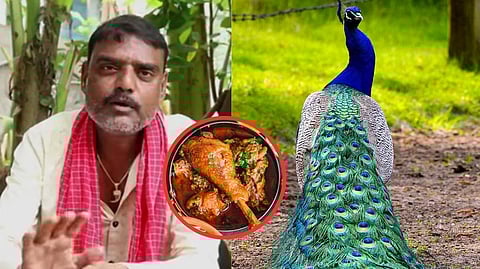 युट्यूबरला Peacock Curry बनवणे पडले महागात; व्हिडिओ व्हायरल होताच आला गोत्यात!
