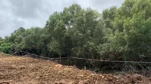 मुंबईतील कांदळवने सीसीटीव्हीच्या कक्षेत १९५ ठिकाणांवर नजर; १२० कोटींची तरतूद