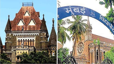 सिनेट निवडणुकीत बोगस पोलिंग एजंट; ‘अभाविप’ची याचिका, उच्च न्यायालयाची मुंबई विद्यापीठाला नोटीस