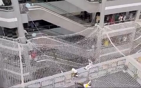 मंत्रालयात पुन्हा जाळीवर उड्या; आदिवासी कोट्यातून आरक्षणाच्या मागण्यांसाठी धनगर समाज आक्रमक