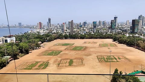 संग्रहित छायाचित्र