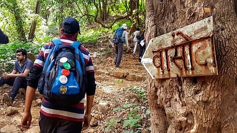 वासोटा किल्ला पर्यटकांच्या वर्दळीने बहरला; हॉटेल्सवरही मुक्कामासाठी गर्दी