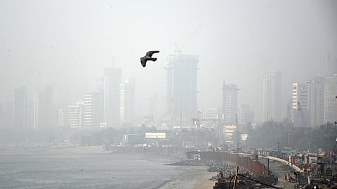 Mumbai : पालिकेची प्रदूषणविरोधी यंत्रणा अपुरीच; विकासकांविरुद्ध कारवाई करण्यात प्रशासनाला अडचण