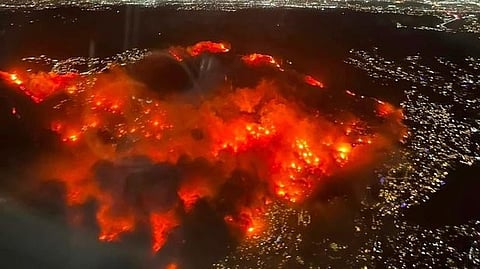 लॉस एंजेलिसच्या जंगलाला आग,५ जणांचा मृत्यू; हॉलिवूडपर्यंत धग