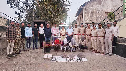 वन्यप्राण्याऐवजी सापळ्यात अडकला बिबट्या; पाच ऊसतोड कामगारांविरुद्ध गुन्हा दाखल