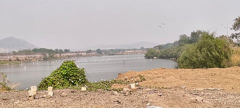 उरणमधील परदेशी पक्ष्यांच्या अधिवासावर JNPA चा भराव; सुमारे २२ हेक्टर परिसरावर माती, १०८ प्रकारच्या ५ लाख पक्ष्यांचा वावर