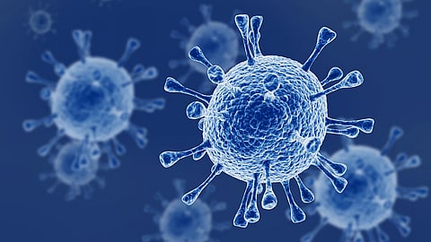 Guillain-Barré Syndrome : जीबीएसविरोधात BMC सज्ज! ५० आयसीयू बेड व्हेंटिलेटरसह उपलब्ध