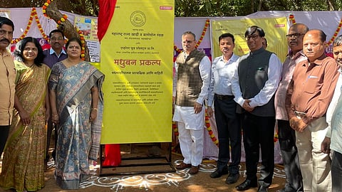 महाबळेश्वर येथे देशातील पहिले ‘हनी पार्क’; एव्हरेस्ट मसालेमार्फत सहा लाखांचा सीएसआर निधी