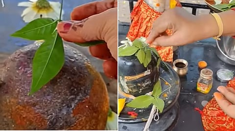 Mahashivratri2025 :हर हर महादेव! आज महाशिवरात्रीनिमित्त शिवपिंडीवर बेलपत्र अर्पण करताना 'हे' नियम लक्षात ठेवा