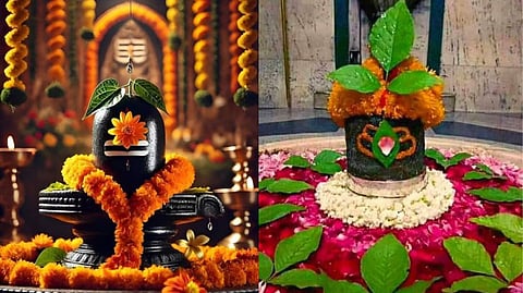 Mahashivratri2025 : महाशिवरात्रीला शिवपूजन करताना बेलपत्रासह 'ही' पाने अर्पण करण्याच्या देखील आहेत परंपरा