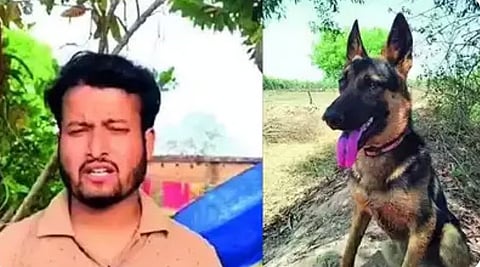 याला म्हणतात इमानदारी! मालकाला वाचवण्यासाठी 'बेंथो' थेट वाघाशी भिडला, पुन्हा जंगलात पळवूनच जीव सोडला