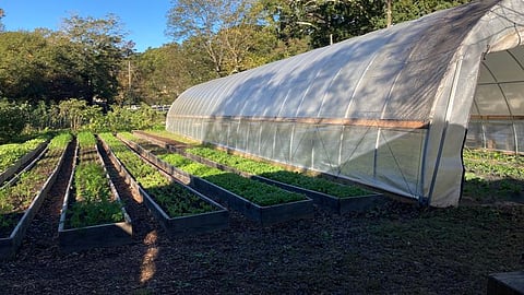 'या' आधुनिक पद्धतीचा शेतीमध्ये उपयोग करा आणि कमवा भरपूर नफा