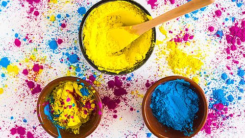Holi 2025 : त्वचेच्या सुरक्षेसाठी 'या' पद्धतीने साजरी करा DIY Organic होळी