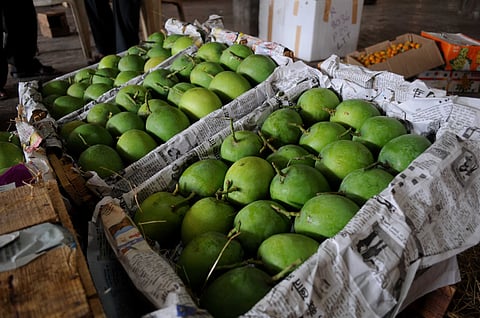 प्रातिनिधिक छायाचित्र