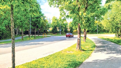 आनंदी देशाच्या अंतरंगात डोकावताना