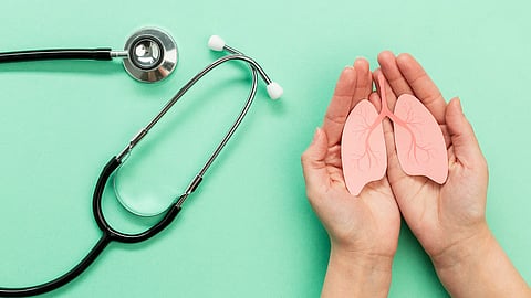 श्वसनप्रक्रिया मजबूत करायची आहे? निरोगी फुफ्फुसांसाठी 'हे' ५ नैसर्गिक पदार्थ