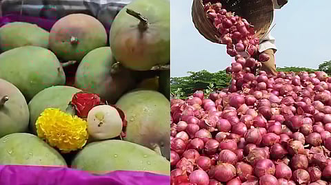 कांदा, द्राक्ष, आंबा उत्पादकांमध्ये घबराट; अमेरिकेकडून कृषी उत्पादनावर आयात शुल्कात २६ टक्के वाढ केल्याचा परिणाम