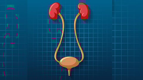 मुळव्याधाच्या समस्येमुळे त्रस्त आहात; आहारात करा 'या' पदार्थांचा समावेश, काही दिवसांतच फरक जाणवेल; सौंदर्य समस्याही दूर होतील