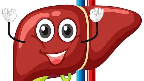 'या' आयुर्वेदिक पदार्थांनी यकृत करा डिटॉक्सिफाय; पोटाच्या समस्या होतील दूर