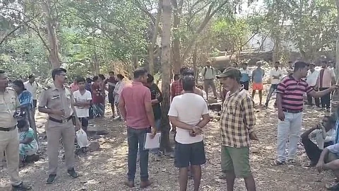 झाडाला लटकलेल्या तरुणाचा मृतदेह आढळल्याने खळबळ