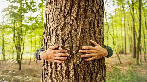 खुडू नका हा बहर